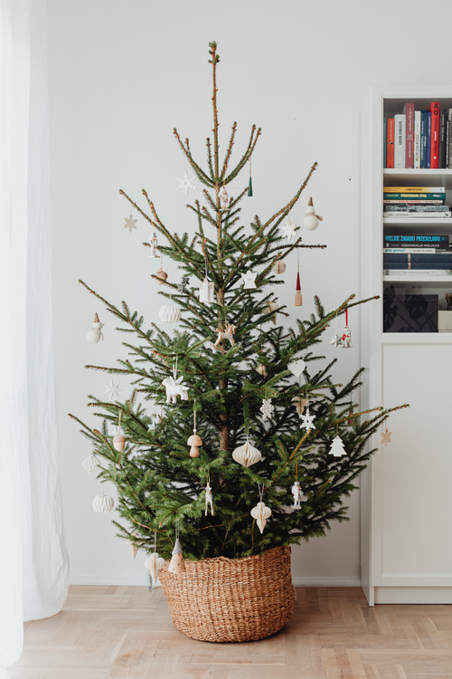 Christmas Tree Themes – The Best Guide You Need (Helpful)