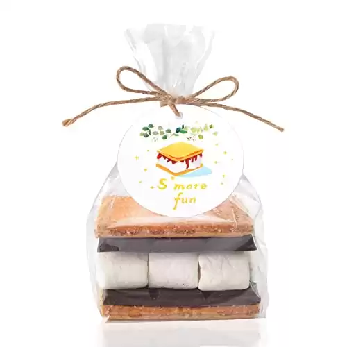 WANGDEFA 100 pcs S'more fun bags set bottom gusset bags clear cello cellophane with S'mores fun tags and twine for baked goods