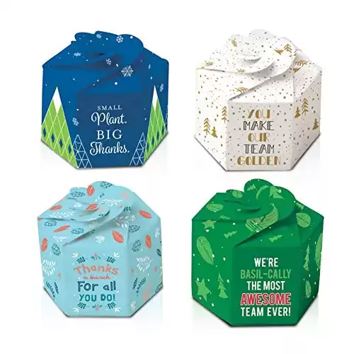 Cheersville 4 Pack Assorted Mini Origami Pop Up Planter Appreciation Gift Dill, Basil, Marigold, Zinnia Seed Packet, Peat Pellet, 2.5"x1.75" Container - Employee Teacher Thank You Desk Acces...