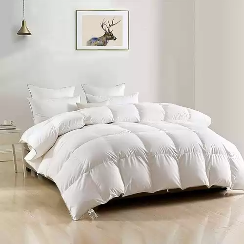 DWR Luxury Oversized King Goose Feathers Down Comforter, Soft Egyptian Cotton Cover, 750 Fill Power Medium Weight, Fluffy Goose Down Duvet Insert with Ties (120x98 Inches, White)
