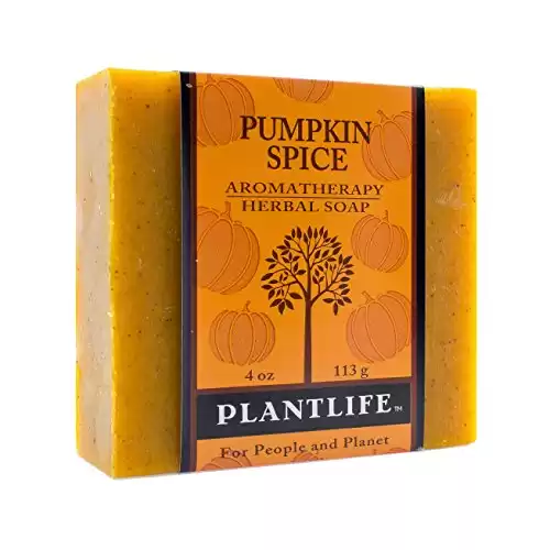 Plantlife Pumpkin Spice Bar Soap - Moisturizing and Soothing Soap for Your Skin - Hand Crafted Using Plant-Based Ingredients - Made in California 4oz Bar
