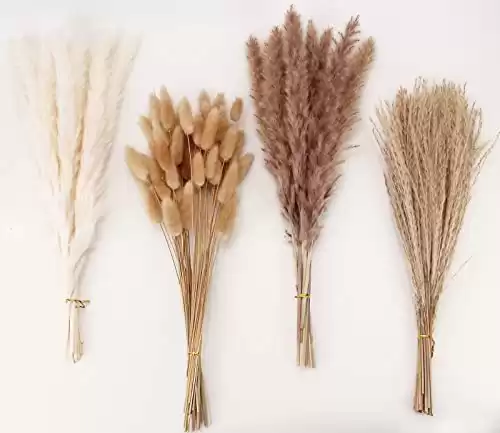 Dried Pampas Grass Decor, 100 PCS Pampas Grass Contains Bunny Tails Dried Flowers, Reed Grass Bouquet for Wedding Boho Flowers Home Table Decor, Rustic Farmhouse Party (White and Brown)