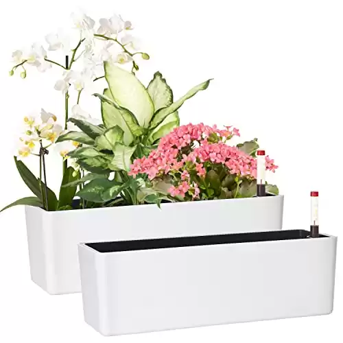 GardenBasix Elongated Self Watering Planter Pots 2-Pack Window Box 5.5 x 16 inch Indoor Home Garden Modern Decorative Planter Pot for All House Plants Flowers Herbs (White,2)