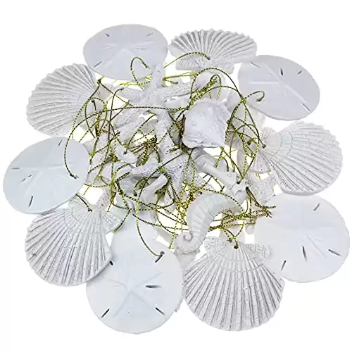 30 Pieces Resin Starfish Seahorse Sanddollar Conch & Seashells Set with Rope for Christmas Tree Hanging Ornaments Beach Theme Wedding Home Decor & DIY Crafts (White)