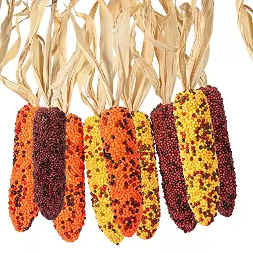 9 Pieces Decorative Corn, Rustic Country Fall Decor, Thanksgiving Decor, Autumn Decor, Dried Corn, Home Decor