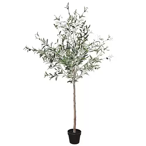 Faux Olive Tree 6ft Tall, Olive Trees Artificial Indoor, Fake Olive Silk Plants for Home Decor and Housewarming Gift,Features Natural Trunks and Realistic Oliver Branch Leaves with Fruits