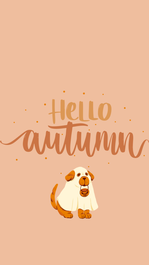 Cute Fall Background