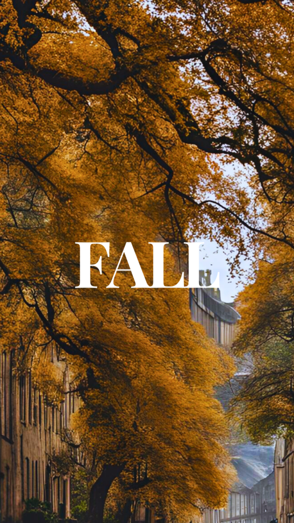 Fall Leaves Wallpapers