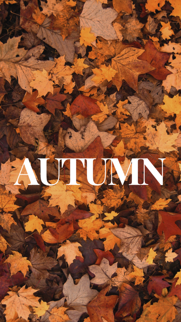 Fall Leaves Wallpapers