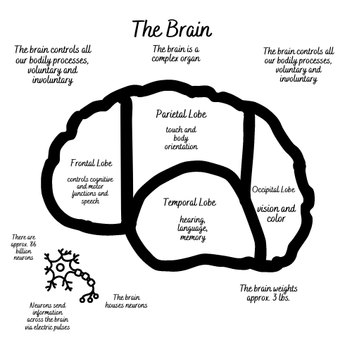 The-Picture-Note-Taking-Method