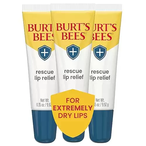 Burt's Bees Lip Balm Stocking Stuffers, Moisturizing Lip Care Christmas Gifts, Rescue Relief - Relieves Extremely Dry Lips with Moisturizing Shea Butter & Echinacea, Natural Origin Treatment ...